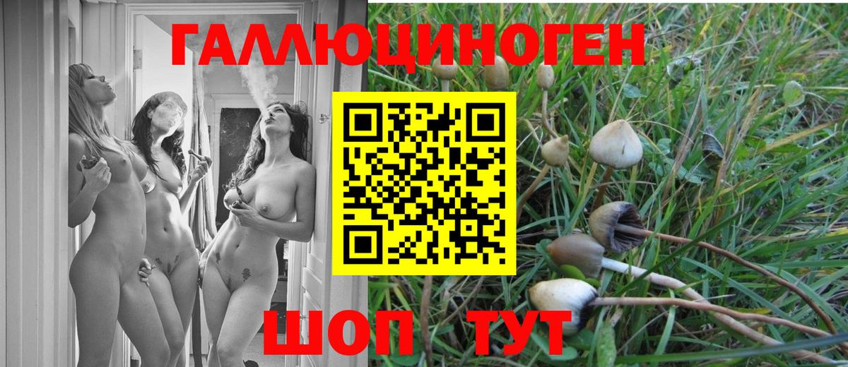 Галлюциногенные грибы Magic Shrooms  Галлюциногенные грибы Psilocybe  Канаш  Вход с VPN 